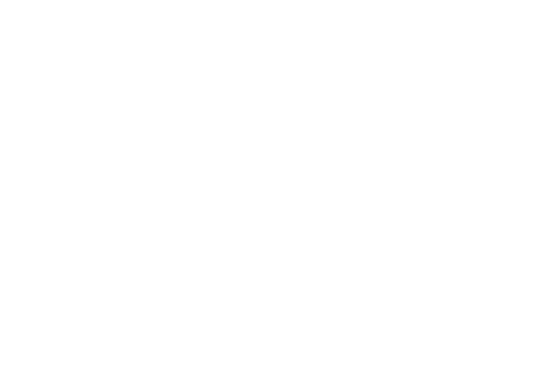 TANELI HEIKKA CONSULTING